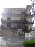 ユトリロ水草